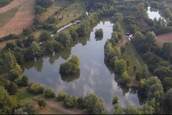 Blasford Hill Fisheries